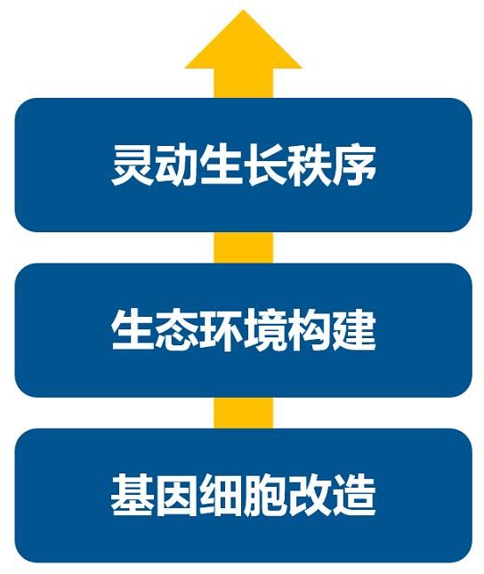 消費(fèi)升級大時(shí)代，品牌如何進(jìn)行戰(zhàn)略升級？