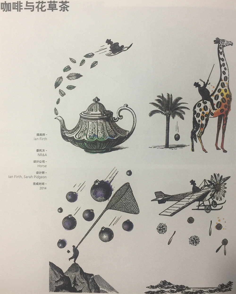 花草茶包裝設(shè)計(jì),飲品插畫(huà)包裝設(shè)計(jì),杭州包裝設(shè)計(jì)