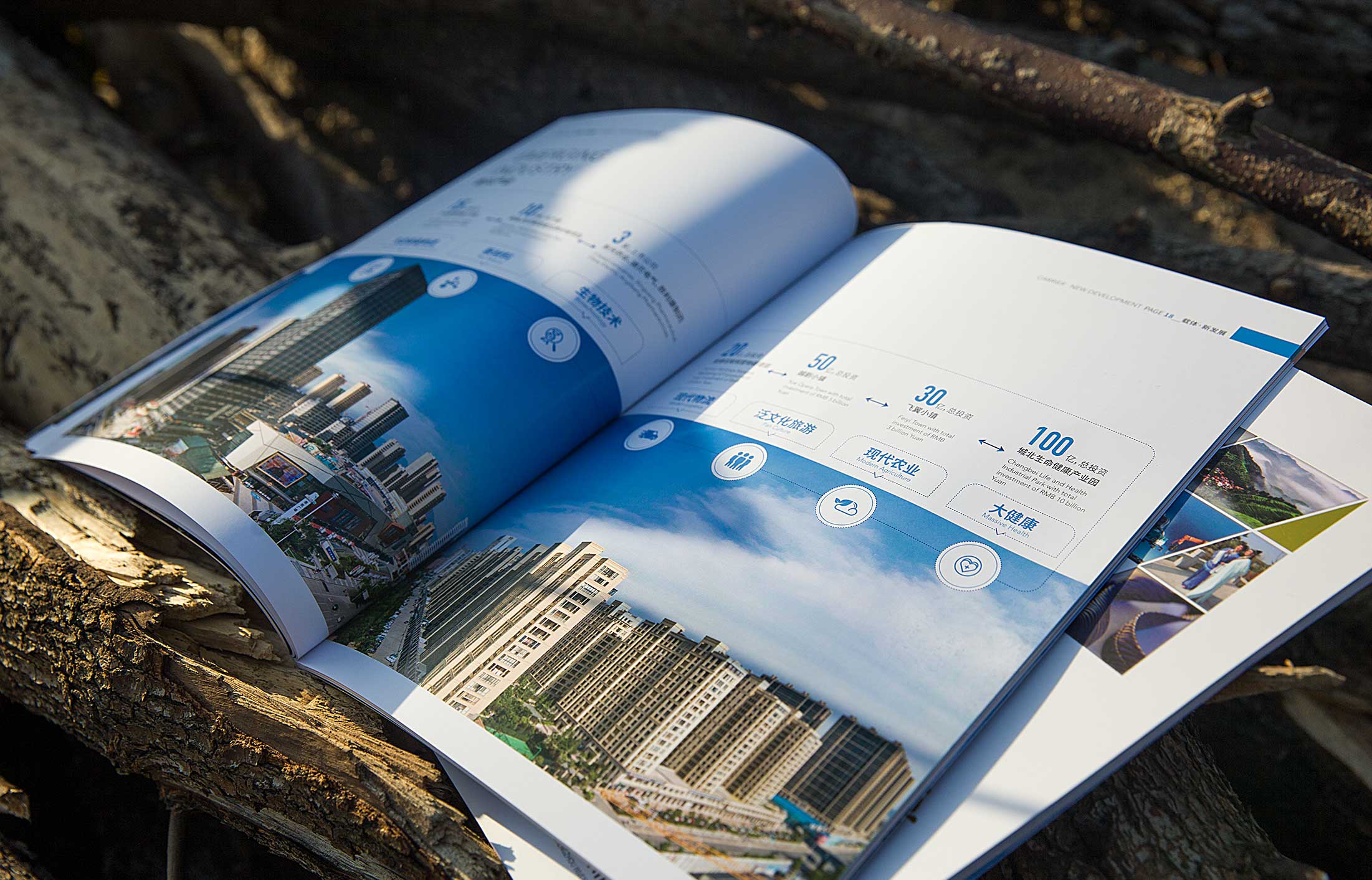 怎么判斷畫冊設計的好壞