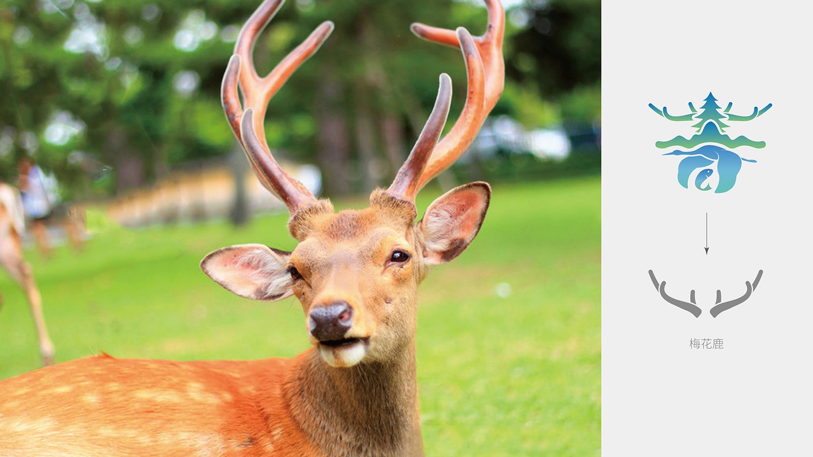 企業(yè)整套vi設(shè)計價格值不值？