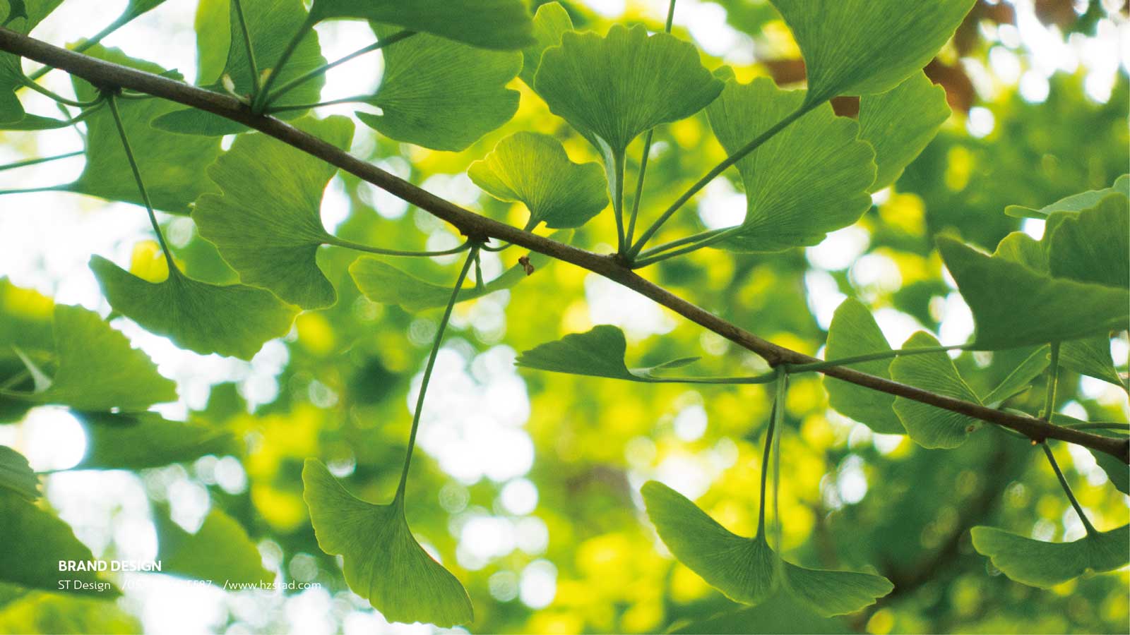 房地產(chǎn)vi設計的幾大重點