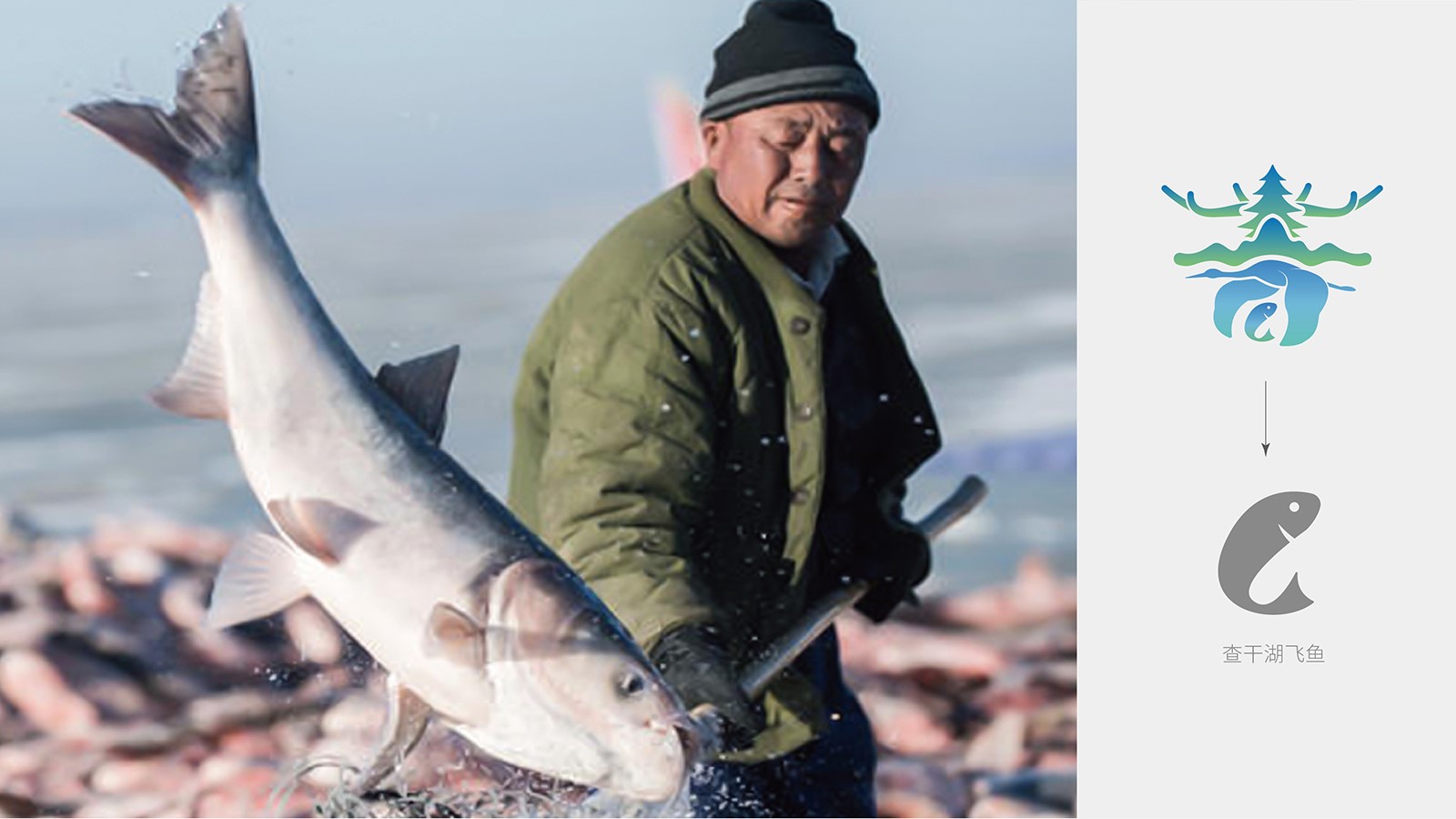 vi設(shè)計杭州有多少家設(shè)計公司？