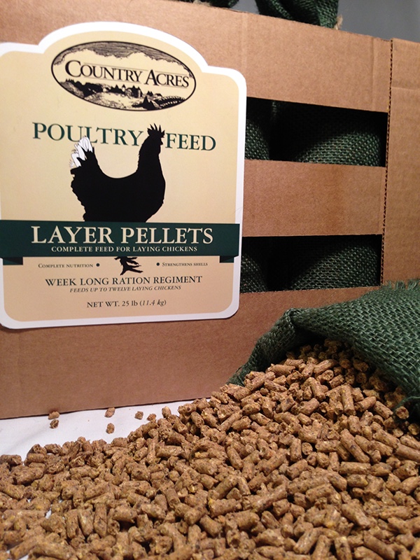 雞飼料包裝設計