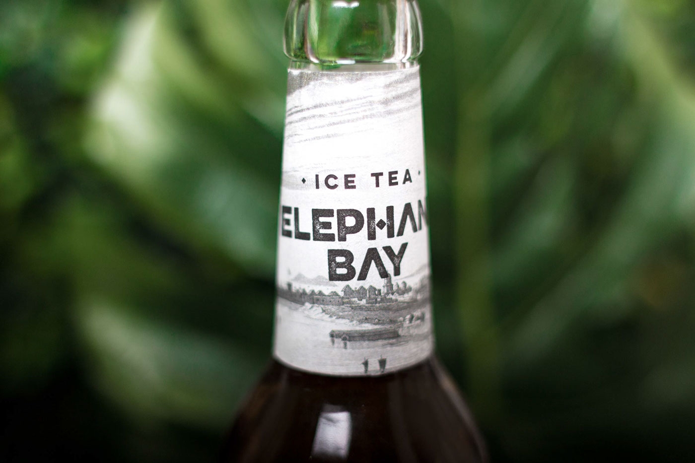 冰紅茶包裝設(shè)計