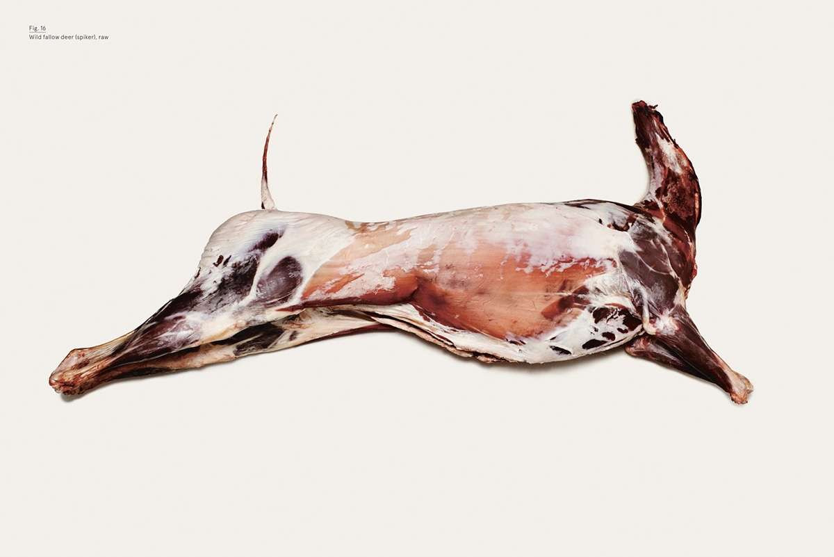 還在為做菜而煩惱嗎？看看這限量版菜譜品牌包裝設計