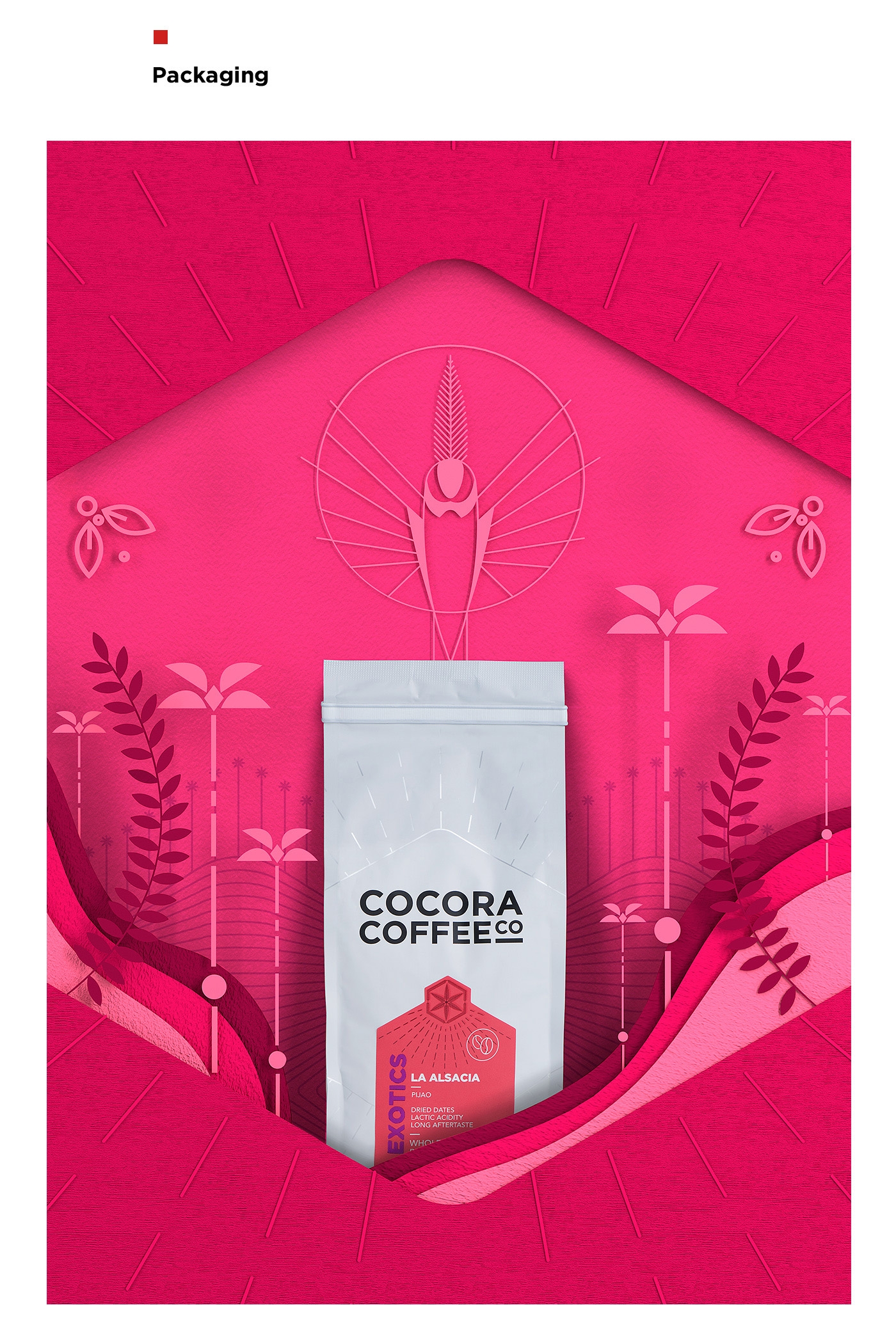 為一個(gè)咖啡杯，一個(gè)街角咖啡店，做整體的品牌包裝設(shè)計(jì)