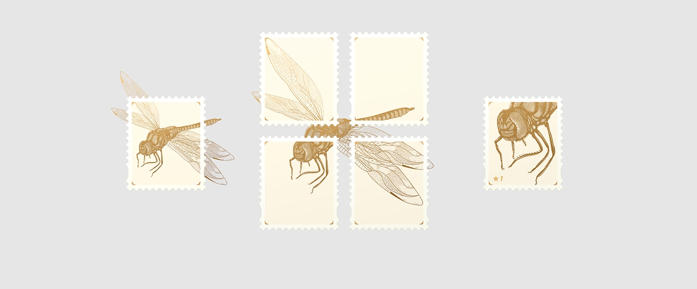 大自然的奇跡，蜻蜓主題的咖啡品牌包裝設(shè)計(jì)