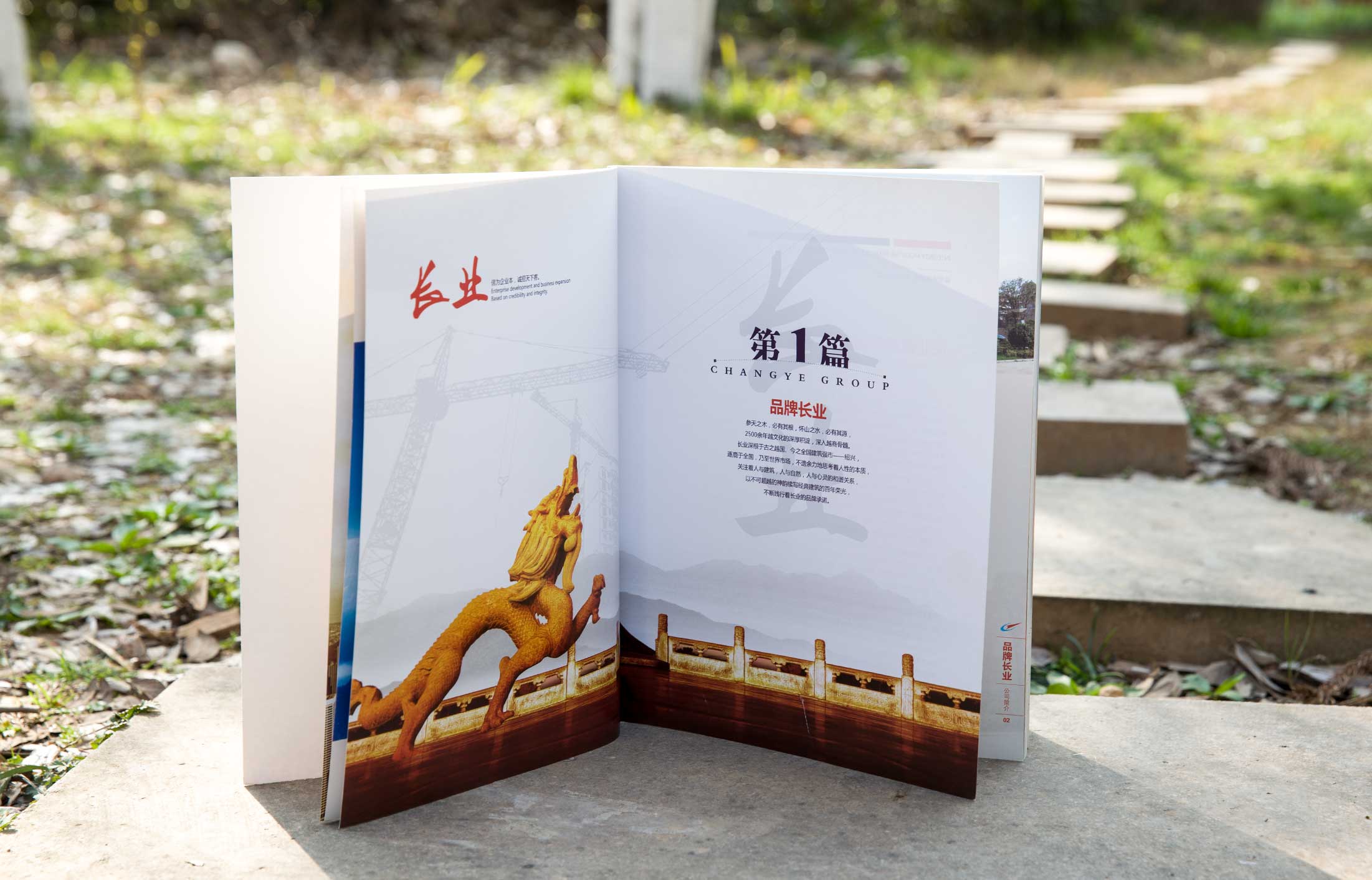 長業控股集團畫冊